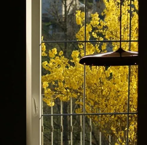 Дом отдыха Du Roc